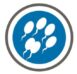REPRO CANINE ET FÉLINE