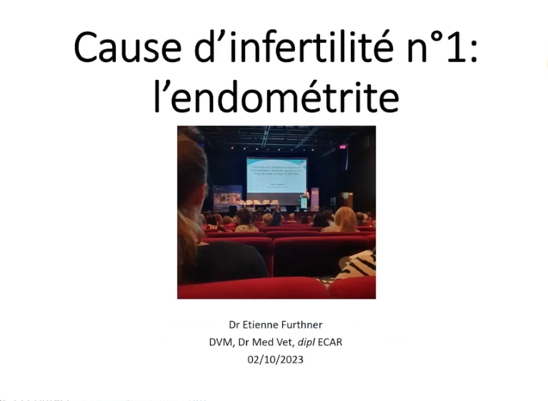 Endométrie